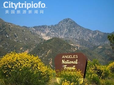 《洛杉矶的“后花园”－安琪拉国家森林 Angeles National Forest》