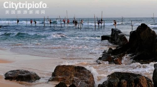 《斯里兰卡：“靠海吃海”的高跷渔夫》