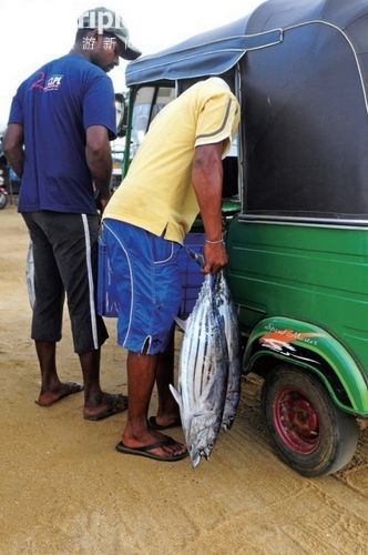 《斯里兰卡：“靠海吃海”的高跷渔夫》