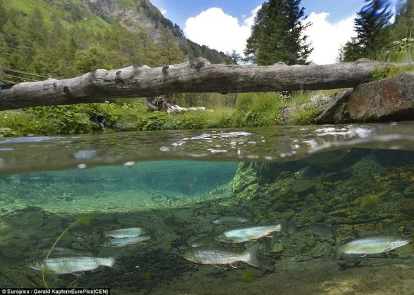 《自然奇观|奥地利冰川融化淹没公园　造就超美奇景！》