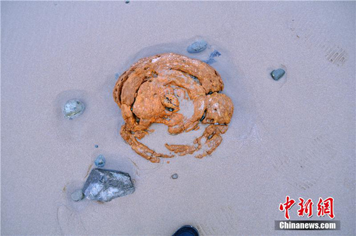《自然奇观|浙江舟山现「艳红石滩」　游客叹为观止！》