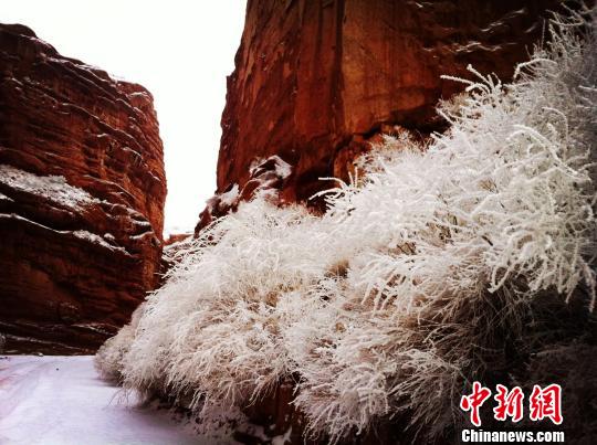 《自然奇观|新疆温宿大峡谷　雪后现丹霞地质壮美景色！》