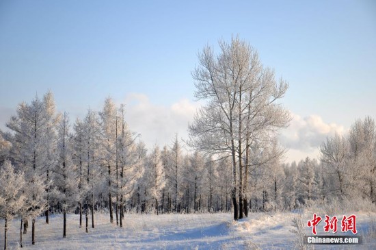 《自然奇观|内蒙古再现-40℃极寒　雾淞演绎冰雪童话！》