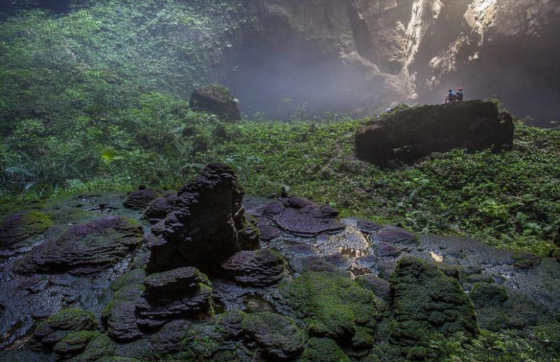 《自然奇观|探险家在越南发现大洞穴　内生雨林河道！》