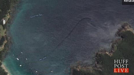 《新西兰近海现神秘物体 网友猜疑是水怪》