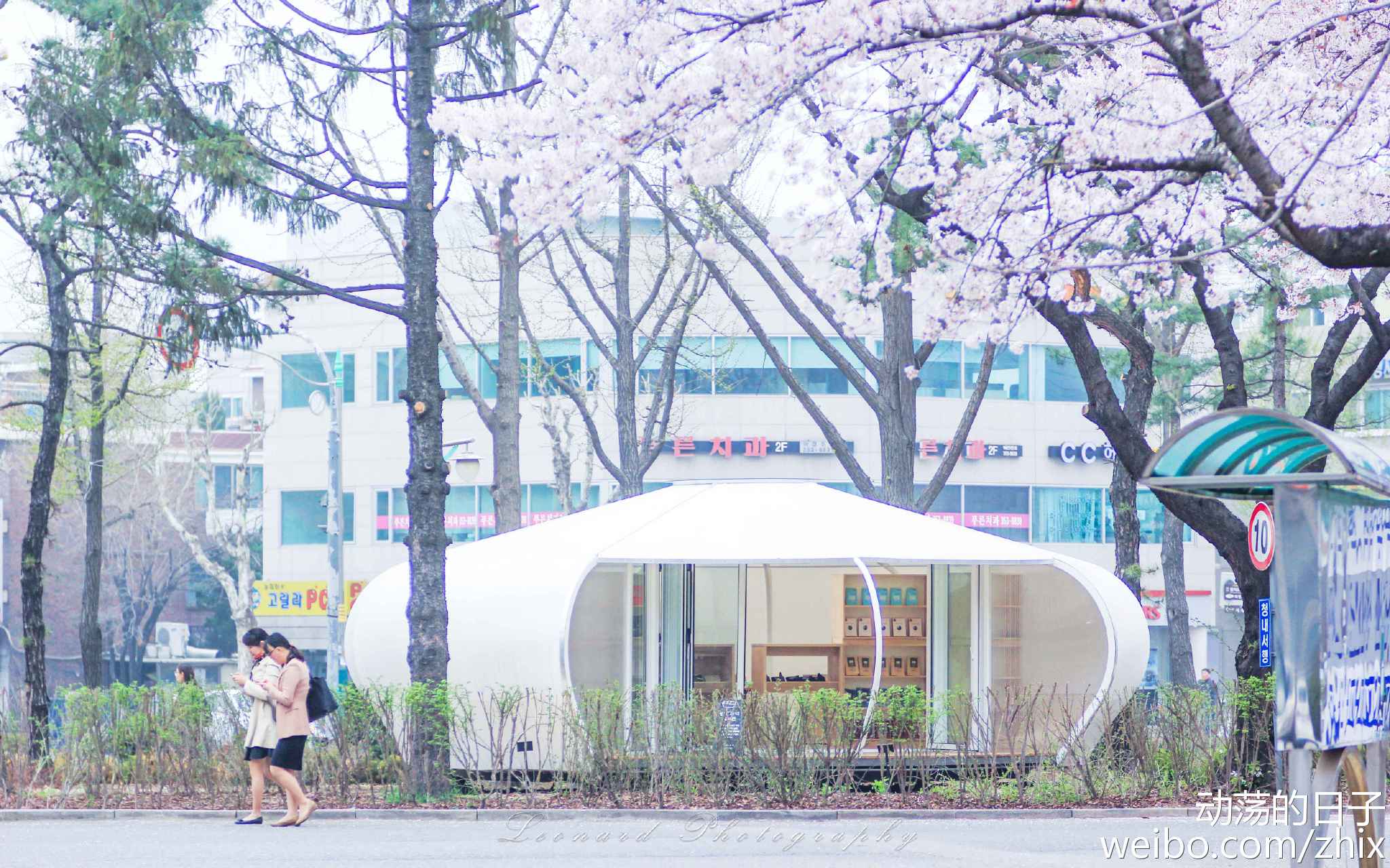《韩国创新旅游新体验 一种怎么样的另类体验》
