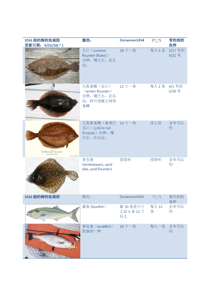 《2016纽约钓鱼法规说明 海钓不同鱼尺寸与数量》