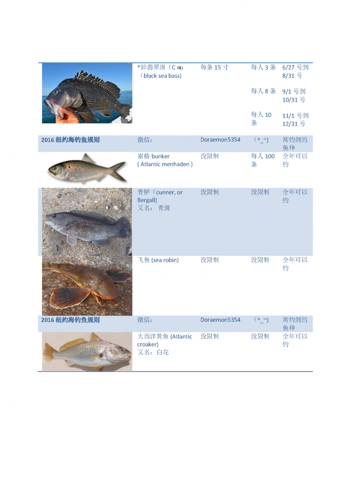 《2016纽约钓鱼法规说明 海钓不同鱼尺寸与数量》