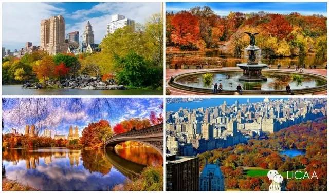 《秋天在纽约的话，去哪玩？》