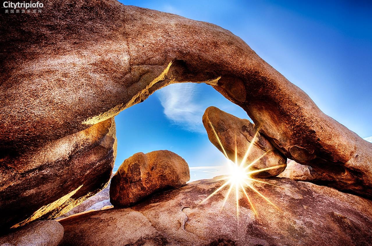 《美国加州约书亚书国家公园Joshua Tree National Park》