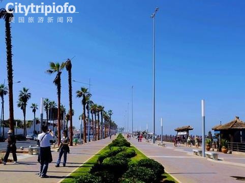 《洛杉矶特色海滩威尼斯海滨大道Venice Boardwalk》