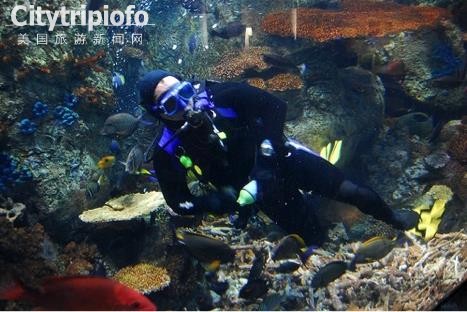 《洛杉矶长堤市太平洋水族馆  Aquarium of the Pacific》
