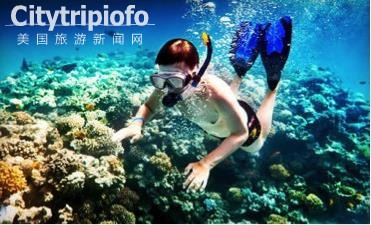 《圣卡塔利娜岛/卡塔利娜岛 Santa Catalina Island》