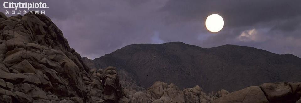 《约书亚国家公园  Joshua Tree National Park》