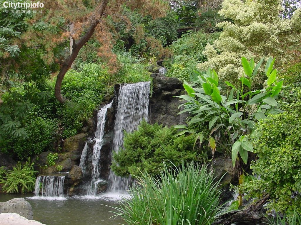 《洛县植物园  L.A. County Arboretum & Botanic Gardens》