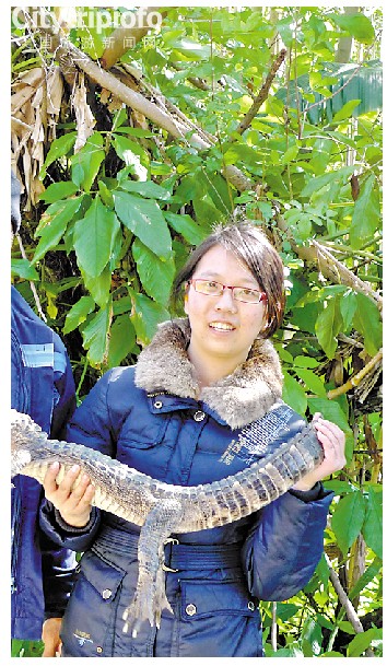 《美国自驾游推荐 在佛罗里达海堤飙车吧》