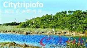 《美国自驾游推荐 在佛罗里达海堤飙车吧》