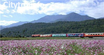 《赴台自由行细节小锦囊》