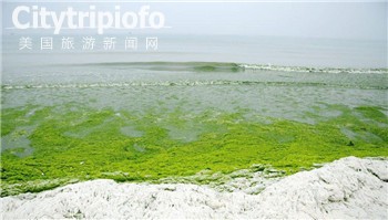 《各色奇葩海滩 我猜你都没去过》