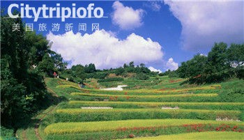 《跟着宫崎骏，探访《龙猫》真实取景地》