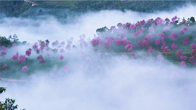 《专题企划|游大陆|不能错过！　大陆12月最美旅行地～》