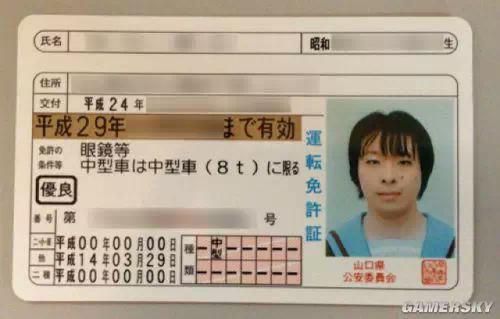 《中国驾照可以在哪些国家使用？》