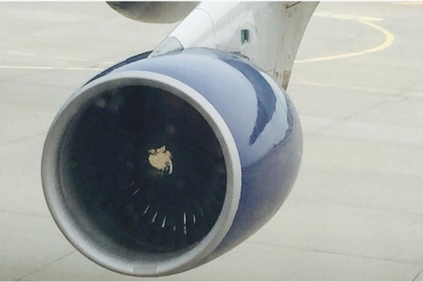 达美航空747在中国领空遭冰雹袭击受损