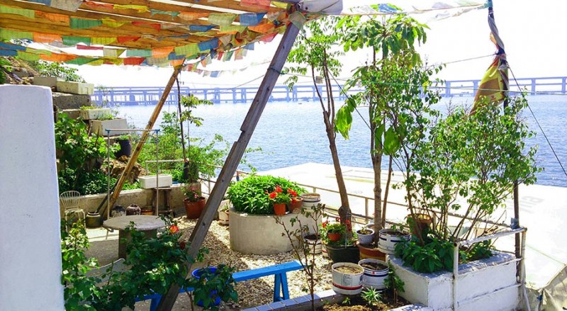 《他花了一年时间在海边造了一艘挪亚方舟》