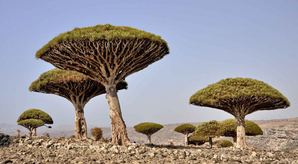 《地球上最像外星的地方》