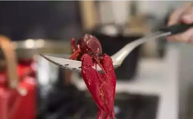 《对小龙虾的热爱 不只中国人才有》