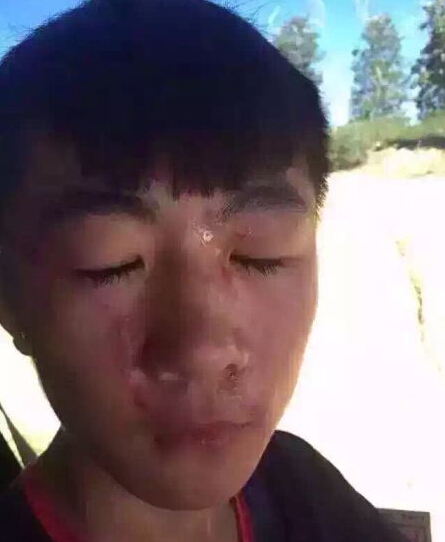 《中国游客在美国打架 导游报警无人被抓》