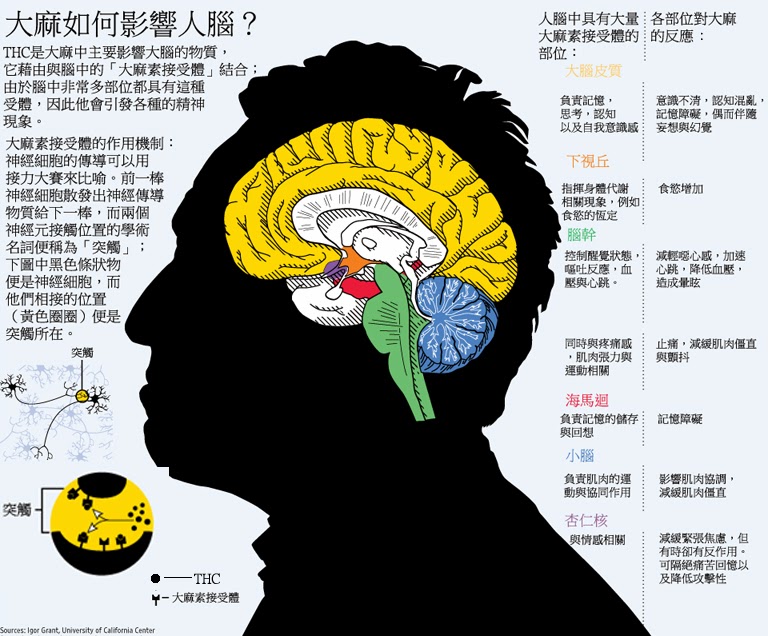 《美国大麻旅游 中国游客新热点》