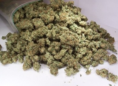《美国大麻旅游 中国游客新热点》