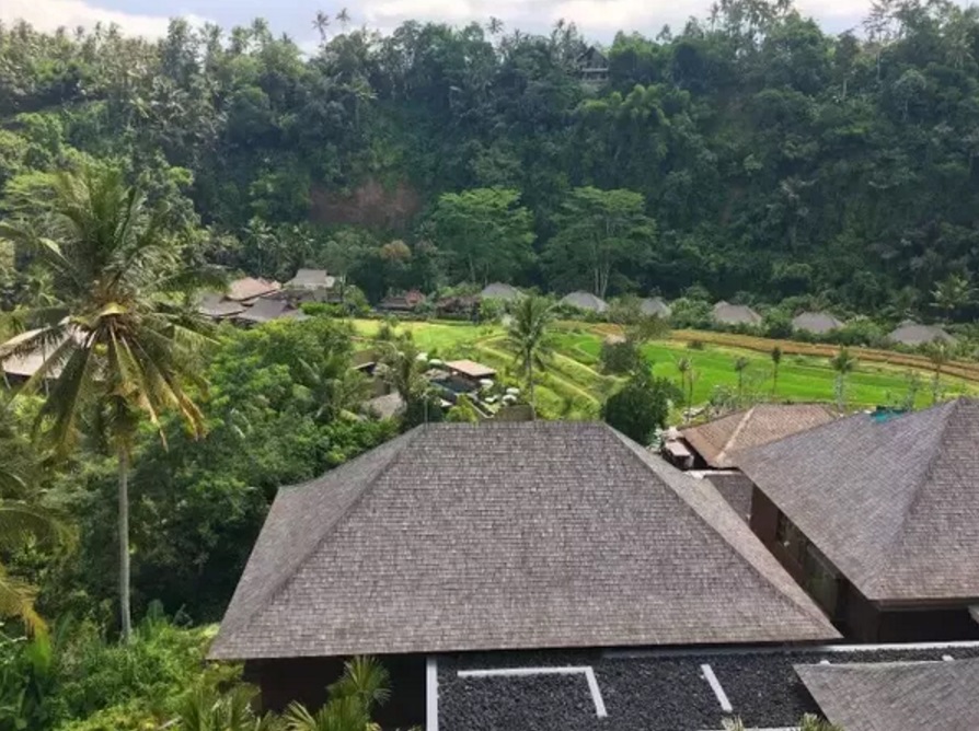 《一个隐藏在茂密深林间的精品酒店 住一晚你还想走吗？》