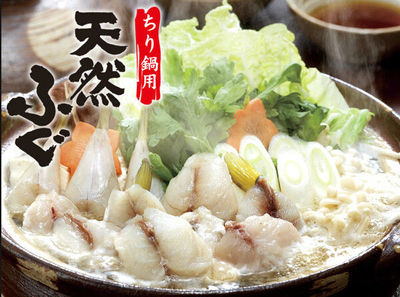 《要人命的河豚你敢吃吗 为什么日本人钟爱河豚肉》