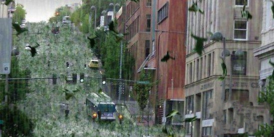 《动物雨你见过吗？ 地球上总有这么些个神奇的地方》