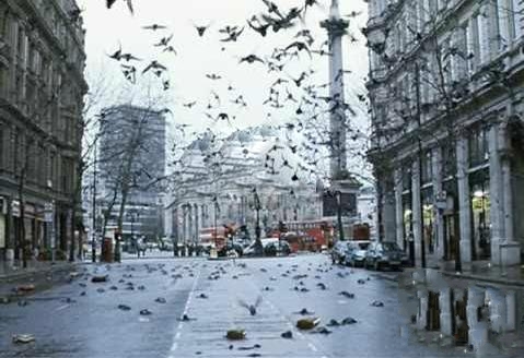 《动物雨你见过吗？ 地球上总有这么些个神奇的地方》