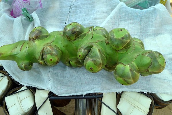 《让人毛骨悚然的食物 炸蜘蛛你尝过吗？》