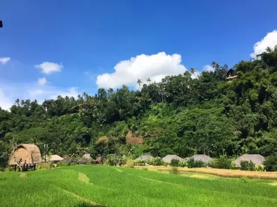 《一个隐藏在茂密深林间的精品酒店 住一晚你还想走吗？》