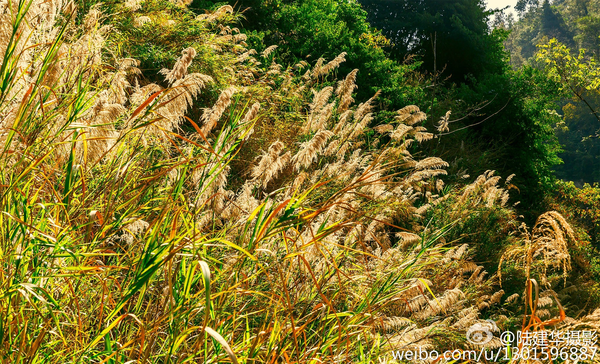《腾冲浴谷温泉 隐藏在画中的温泉》