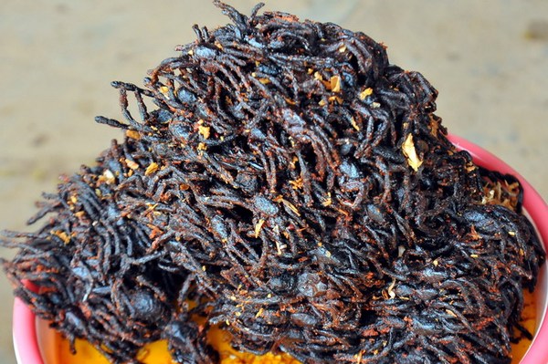 《让人毛骨悚然的食物 炸蜘蛛你尝过吗？》