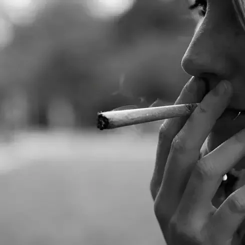 《荷兰旅游促进局低调宣布 中国15城可以申请荷兰签证有效期将放宽至 5 年 》