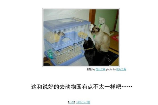 《日本旅游新玩法低腰聚会》