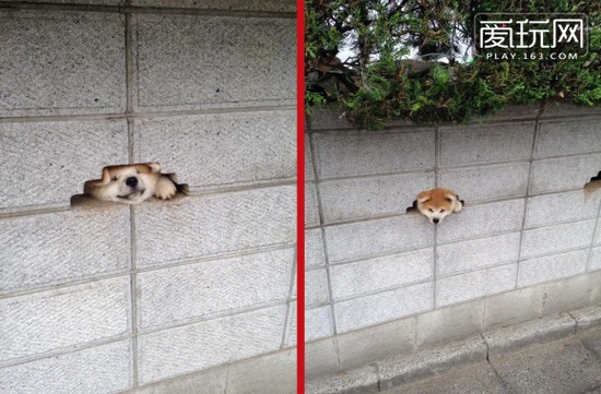 《日本旅游新玩法低腰聚会》