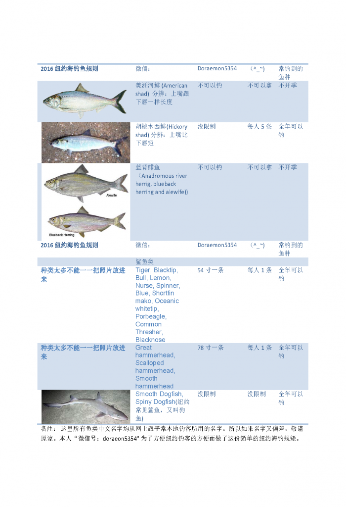 《2016纽约钓鱼法规说明 海钓不同鱼尺寸与数量》